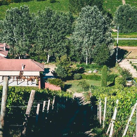 Agriturismo Dacapo 阿利亚诺泰尔梅 外观 照片